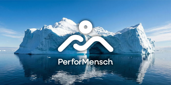 Einzelcoaching Bild einem Eisberg im Meer